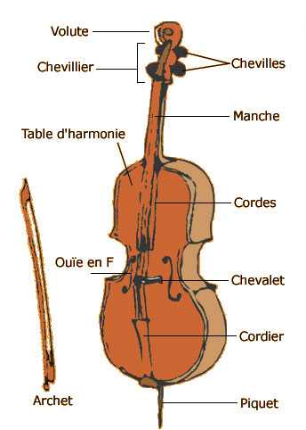 Violon ou Violoncelle : Quelles sont les différences et que choisir ?